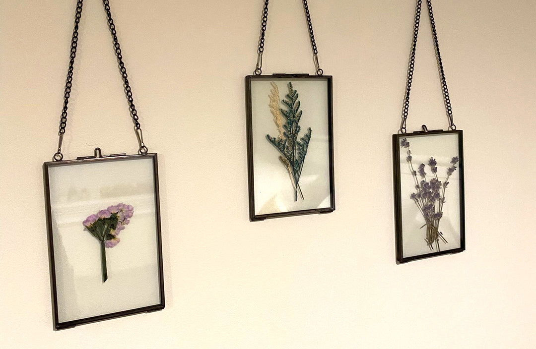frames