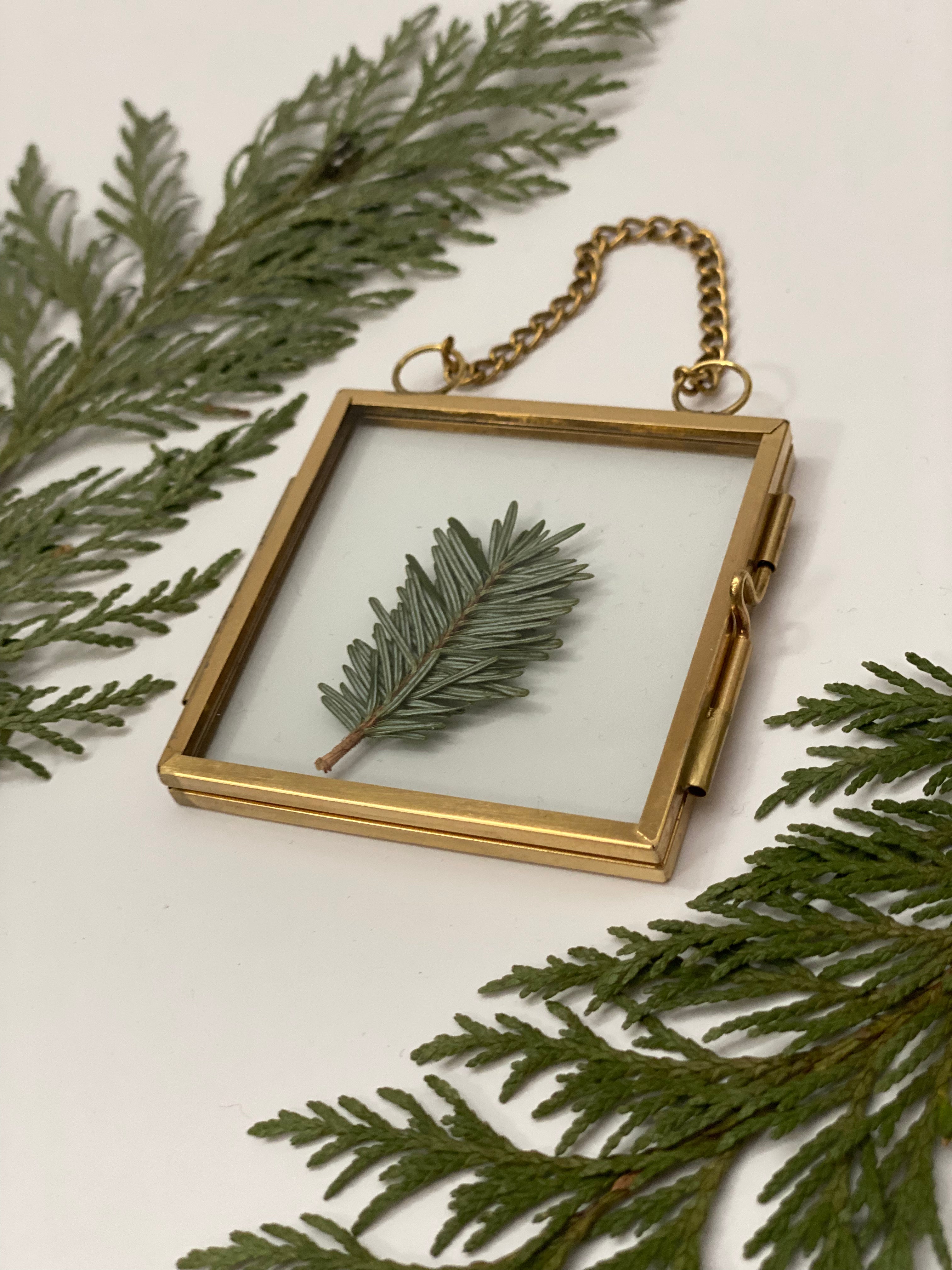 Small Evergreen Frame-Gold