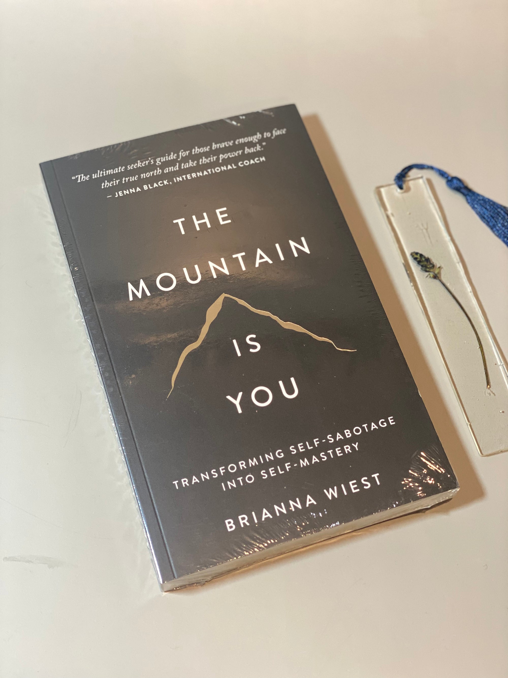 The Mountain Is You Book