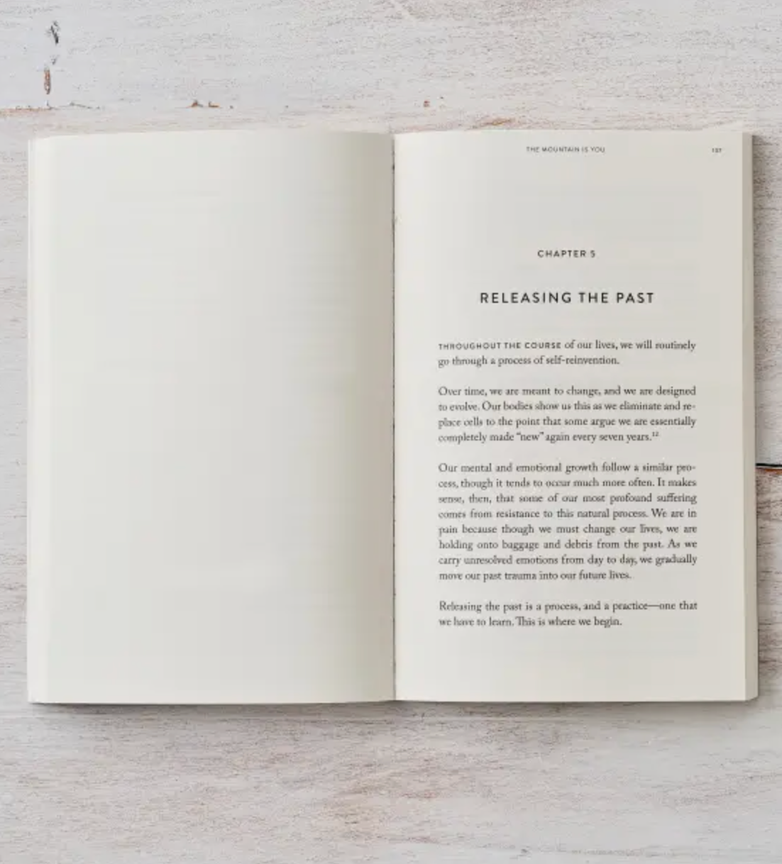 The Mountain Is You Book