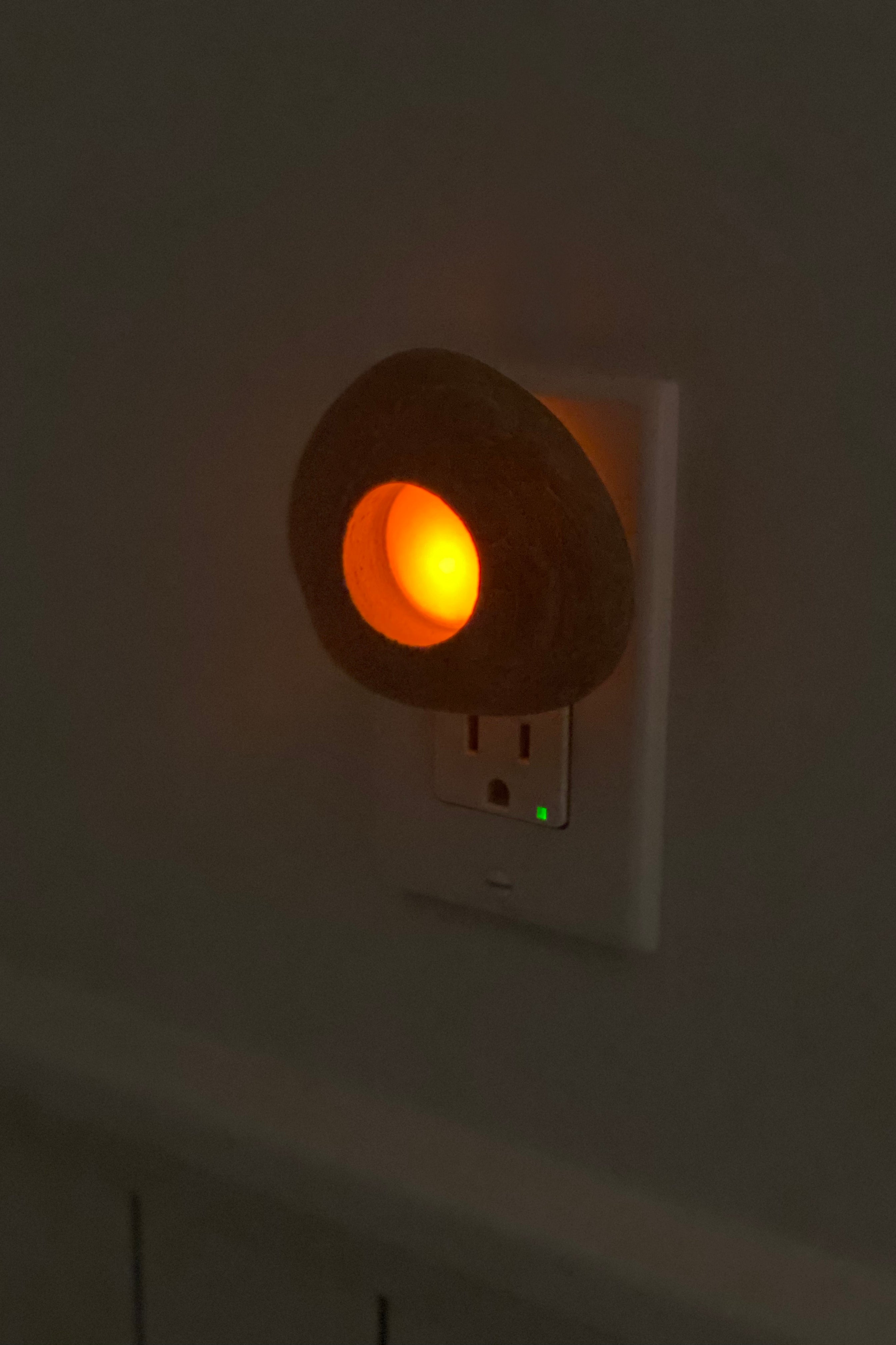 Natures Night Light