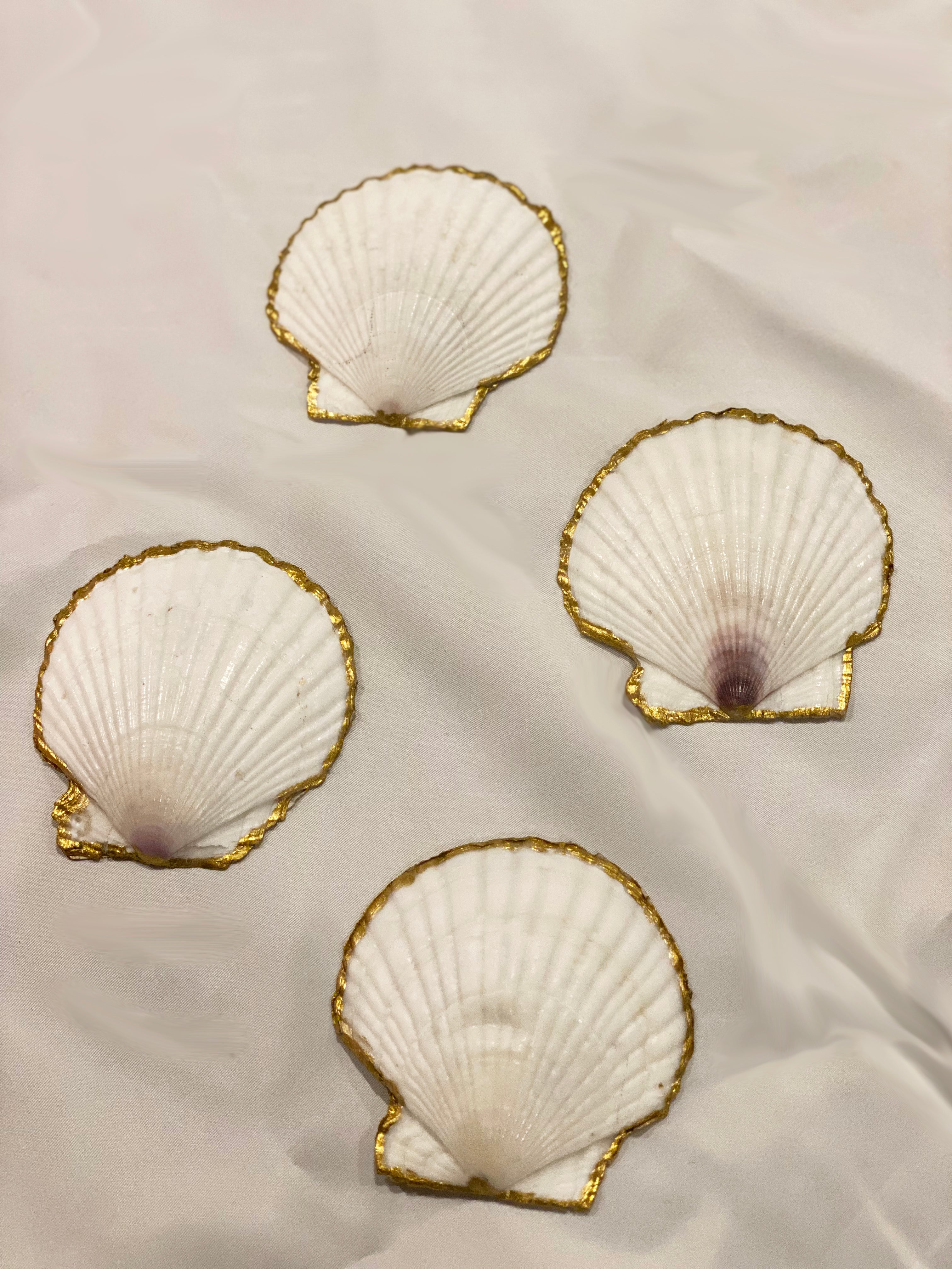 Trinket Tray Shells-Medium